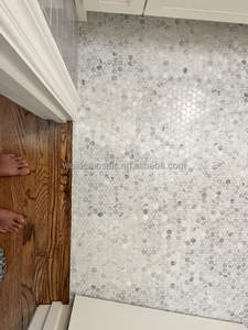 Mosaïque de marbre ronde vert Ming Green, mosaïque de marbre circulaire vert Penny pour murs et sols, salle de bain ou toilettes - Product Image 2