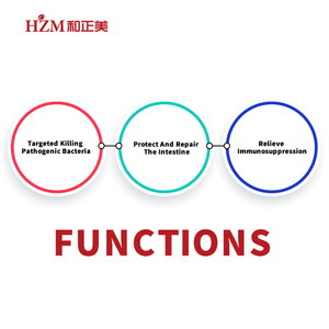 Bổ sung thức ăn liqi 99 để giảm sử dụng kháng sinh ở gia cầm - Product Image 3