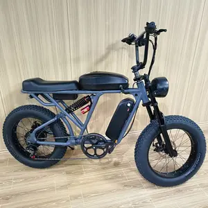 최대 2000w 모터 전기 자전거 48v52v 30Ah 리튬 전지 NS5 고성능 ebike 20 "산 고성능 전기 자전거