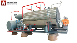 Caldera de Vapor Automática WNS de 1-20 Toneladas, Horizontal, de Alta Presión, a Gas - Product Image 2