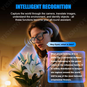 Lunettes Intelligentes de Traduction Multilingue Lunettes Intelligentes avec Caméra et Traduction pour Voyageurs - Product Image 2