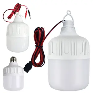 Toptan enerji tasarrufu ev aydınlatma 2700-6500K 5w 12 volt led ampul DC 12 v 24V 28w led ampul ışık ile 1.2m kablo kelepçesi