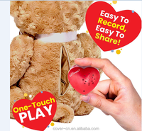 Juguetes con Módulo de Grabación de Voz en Forma de Corazón de Plástico Ecológico Personalizados |   Chip de Sonido Grabable de 30 Segundos |   Fabricante OEM/ODM