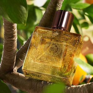 Nouveau <span class=keywords><strong>parfum</strong></span> pour homme Citrus Vitality Yellow <span class=keywords><strong>Intense</strong></span> Love Water, longue durée, 50 ml, format voyage, vente en gros dans le Zhejiang - Product Image 2