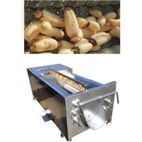 Offre Spéciale Carotte Gingembre Frais Manioc Épluchage et Machine À Laver Pommes De Terre Brosse Laveuse Automatique Machine À Éplucher Les Pommes De Terre Prix