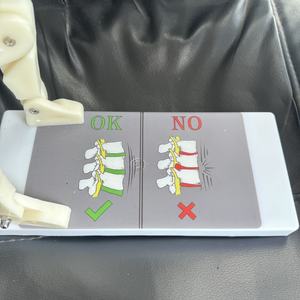 Maniquí de PVC de Tamaño Real para Demostraciones de Levantamiento de Pesas, Modelo Avanzado para Entrenamiento y Aprendizaje de la Columna Vertebral, Ideal para Escuelas - Product Image 3