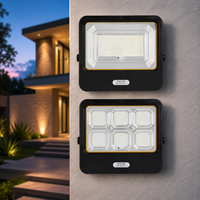 Lampe solaire intelligente à détection humaine, étanche, à allumage automatique pour village, ferme, cour arrière, campagne et sentiers