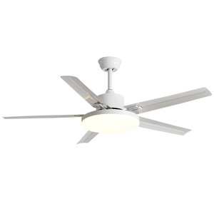 <b>Ceiling</b> Fan <b>Light</b> With <b>Led</b> Fixed Blade For Living Room And Study 15-30 Sqm Quiet Operation - Product Image 4