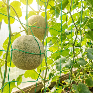 Filet de soutien pour plantes en maille large jaune universel renforcé de qualité supérieure pour la glycine et l'exposition au soleil – Brésil - Product Image 1