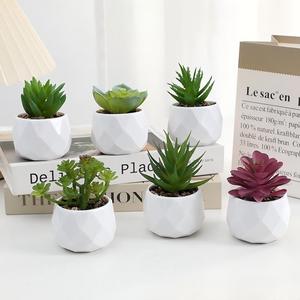 Mini Piante Succulente Artificiali in Vaso - Vaso in Ceramica Bianca con Succulente Finte per Decorazione Casa e Scrivania - Product Image 2
