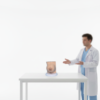 Modelo de anatomía de seno humano de PVC Healer LJ con aumento de 1.5x, fabricado en China para entrenamiento médico en escuelas