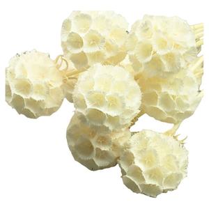 Flor Eterna, Flor de <span class=keywords><strong>Gusano</strong></span> de <span class=keywords><strong>Pino</strong></span>, 10 Varillas/ramo, Flor Seca Hecha a Mano de Larga Duración, Decoración <span class=keywords><strong>del</strong></span> Hogar, Arreglo Floral - Product Image 4