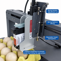 Impresora de inyección de tinta inteligente de alta velocidad para huevos con eje XY, 30 huevos/11s, plataforma de codificación de escritorio TIJ