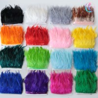Plumes de Coq Teintées de 4 à 6 Pouces en Gros de l'Usine HK, Franges Décoratives pour Robes de Bal, Usage Domestique/Mariage/Mode
