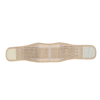 Ceinture chauffante abdominale pour homme et femme, massage chauffant, ceinture chauffante pour le ventre et l'abdomen, double chauffage, ceinture de soutien lombaire