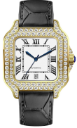 golden-White