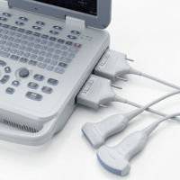 Valid CE SONOIMAGE Veterinary N20 Doppler Ultrasound Class II Medical Instrument Ensures Precise Diagnostic Imaging on Farms
