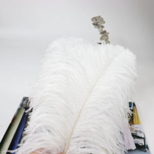 45-50 Cm Plumes d'autruche blanches teintées en blanc pour décoration de fête décorations de mariage - Product Image 2