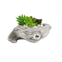 Consultation de jardinier pour pots de fleurs : Pots en ciment personnalisés pour plantes succulentes artificielles – Pots de culture