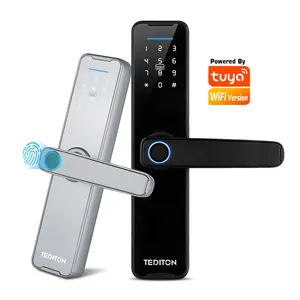 Tediton Großhandelspreis Intelligentes Schloss WLAN-App Fingerabdruck Fechadura Electronica Digital Schlüsselloses Tuya Smart Lock - Product Image 1