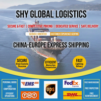 SHUNHEYING Transitaire Chinois Professionnel Expédition LCL+Express pour Marchandises Dangereuses et Générales Assistance 24/7 Transit Stable Mondial