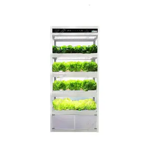 Hydroponic type Smart Led grow light fresh vegetable planter cabinet/ Lettuce hydroponics system