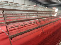 Poulailler industriel automatique économique de grande capacité de type A pour poules pondeuses
