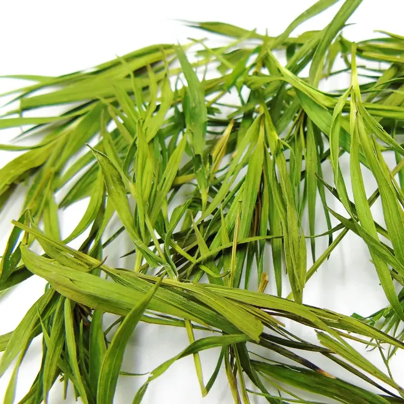 Feuilles de bambou séchées en vrac pour thé lophatherum gracile thé feuille de bambou