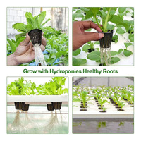 Système NFT de petite serre hydroponique, panier en plastique PP pour plantes, pour la plantation