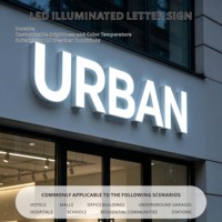 Lettres encastrées LED personnalisées en usine, lettres publicitaires lumineuses 3D pour centre commercial, bureau et clinique