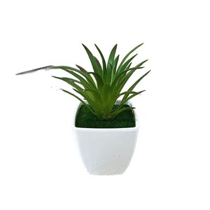 Plante succulente artificielle en pot carré, mini plante en pot, verdure pour la décoration de la maison, du bureau ou du bureau à domicile, ornement de plante d'intérieur en plastique - Product Image 5