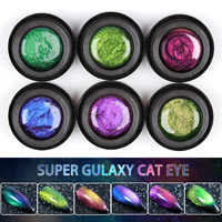 HS OEM Personnalisé 6 Couleurs 9D Cat Eye Gel Polish Set Sans HEMA Nail Art Vente en Gros Marque Privée Magnétique UV LED Soak Off Gel