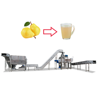 Commerciële Vruchtensap Plant Mango Appel Ananas Juicer Persen Fruit Groenten Sap Maken Productielijn Compleet