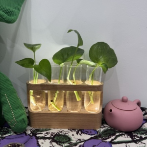 Nouvelle conception, écran tactile, lumière LED, support en bois à 4 niveaux, station de propagation de plantes polie, cadeaux de jardinage, respectueux de l'environnement - Product Image 2