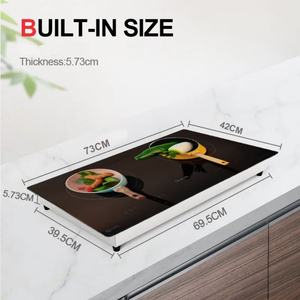 Four encastrable à induction 220V pour le marché américain, cuisinière électrique à prix abordable, OEM ODM - Product Image 4