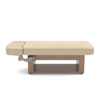 Table de massage Alexander-Basic avec chauffage et éclairage LED en option, base en bois, pour soins du visage, tatouage, SPA, salon de beauté