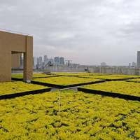 Conception de toit vert matière plastique Bac à fleurs Systèmes de toits verts modulaires