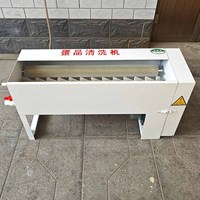 Nouvelle Laveuse d'œufs Commerciale Automatique Multifonctionnelle avec Brosse pour Œufs de Poule/Canard/Oie 110V/220V