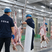 Équipement d'abattage de moutons certifié CE, machine d'abattage de moutons, abattoirs à grande échelle pour le traitement des moutons et des chèvres