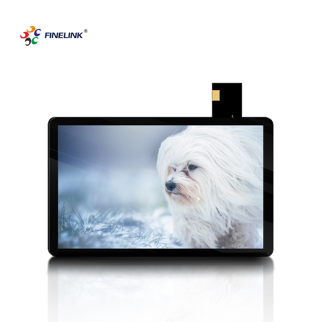 FINELINK OEM/ODM Touch Screen 10.1 Inch G+G Digital Photo Frame and POS Terminal Touch Panel Capacitive