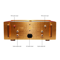 BRZHIFI NHB-108 Sınıf A 200W HIFI Güç Amplifikatörü Altın Devre Kartı Ev Ses Sistemleri Kullanımı İçin
