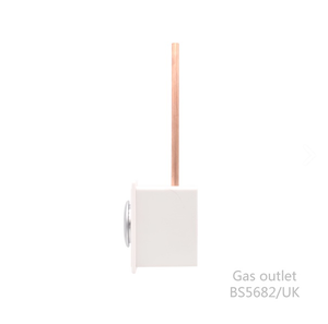 HQ <span class=keywords><strong>MEDICAL</strong></span> Hoogwaardige Gasterminal Britse BS-norm voor O2/N2O/CO2 Medische Systemen - Product Image 3