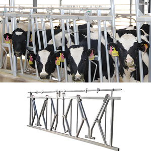 Chăn Nuôi Cổng Nông Nghiệp Headlocks Bò Hot-Dip Bunk Trang Trại Hệ Thống Máy Trung Chuyển Sữa Gia Súc Thiết Bị Cho Giá Gia Súc Thiết Bị - Product Image 2