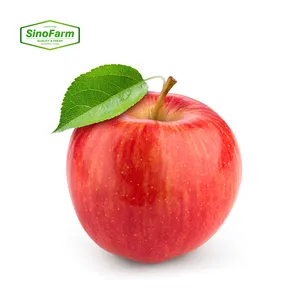 New Red Fuji Apple Sweet Crisp Big Apples China Wholesale Export