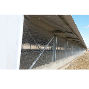 대형 철골 구조 저렴한 산란계 닭장 - Product Image 6