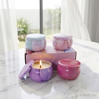 Ensemble de bougies aromatiques modernes en cire de soja 2,2 oz et 4,4 oz, fournitures DIY avec différentes saveurs, coffret cadeau Saint-Valentin en boîte métallique
