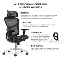 Chaise de bureau moderne réglable multi-angles SHUNMAS pour la maison