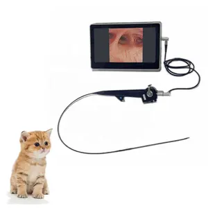 Bán Hot Pet bronchoscope bệnh viện viêm phổi 2.8 mét kênh làm việc linh hoạt video sử dụng nội soi