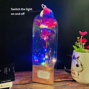 ของขวัญวันวาเลนไทน์แบบกำหนดเองสำหรับผู้หญิง ดอกไม้แห้งประดับไฟ LED รูปดอกกุหลาบ พร้อมกล่อง PVC - Product Image 5