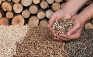 6mm Diameter 10Lb/Box BBQ <strong>Pellet</strong> <strong>Smoker</strong> Grill Wood Apple,Cherry, <strong>Oak</strong>, Walnut for Choice or Blend Flavors Hardwood <strong>Pellets</strong> - Product Image 2